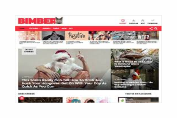 Bimber - Viral & Buzz WordPress Theme