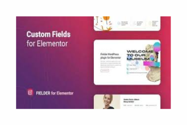 Fielder WordPress Custom Fields for Elementor